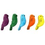 Petyy Muhabbet Kuşu 5 Li Paket