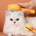 Hamburger Kedi Tarağı