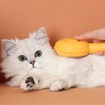 Hamburger Kedi Tarağı - Görsel 3